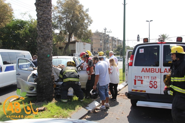 acc yaffa jasterret (3).JPG